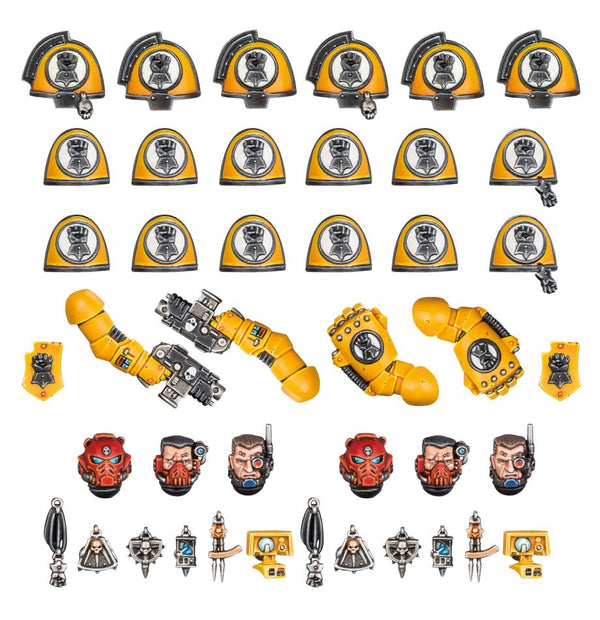 Primaris Upgrades & transfers Imperial Fists