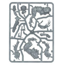 WARCRAY: Centaurion Marshal