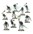 Chainrasp Hordes