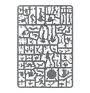 The Naggaroth Nightmares - Dark Elf Blood Bowl Team