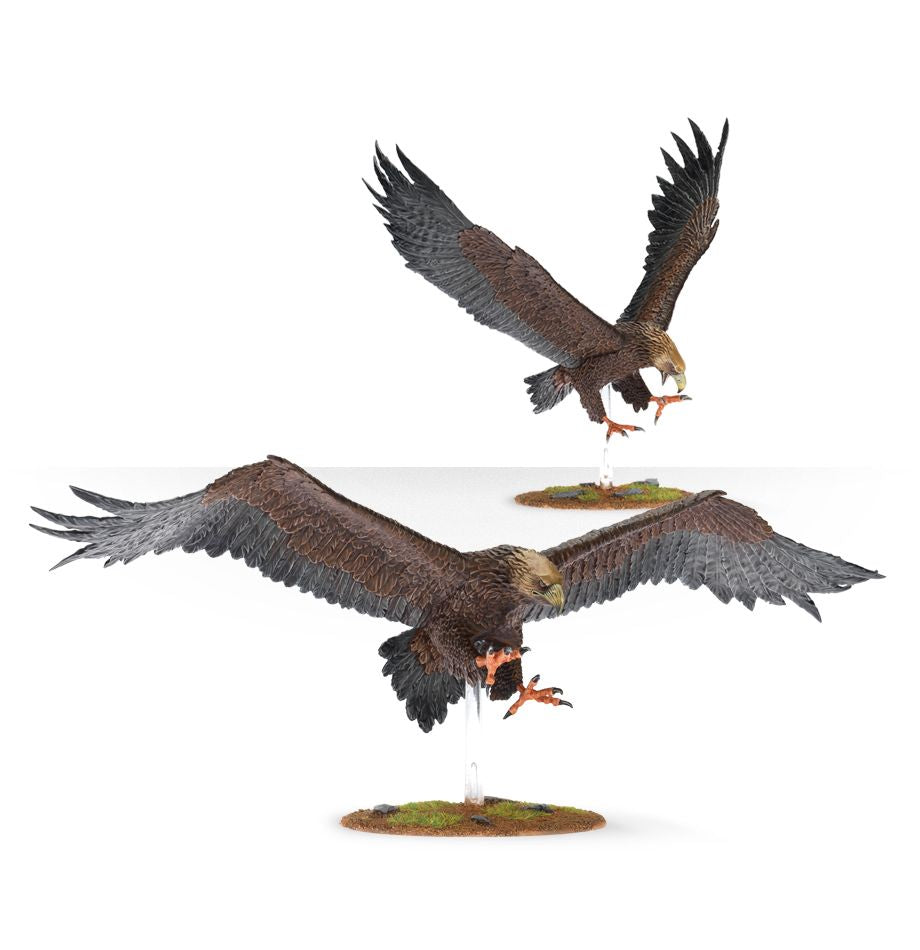 M-E SBG: GREAT EAGLES