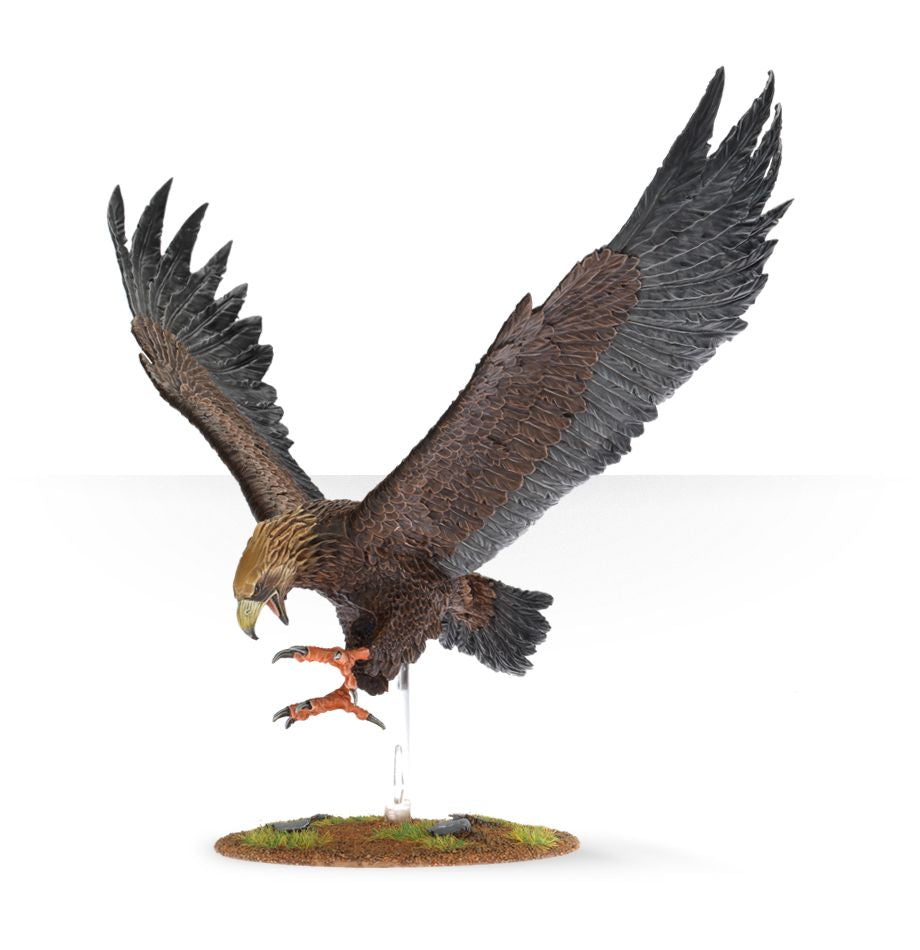 M-E SBG: GREAT EAGLES