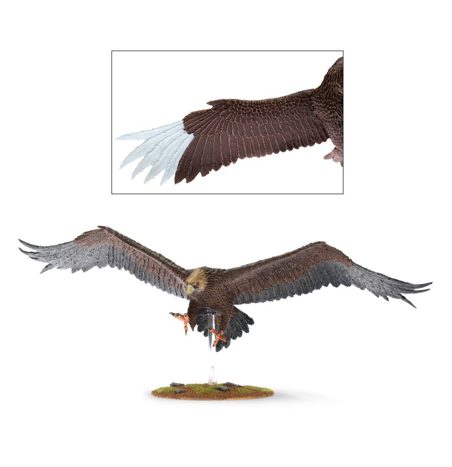 M-E SBG: GREAT EAGLES