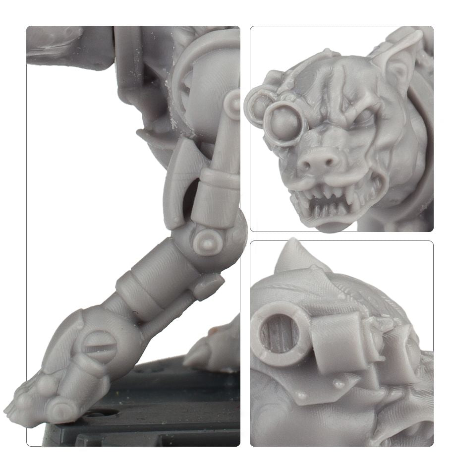 Slate Merdena & Macula, Orlock Hired Gun