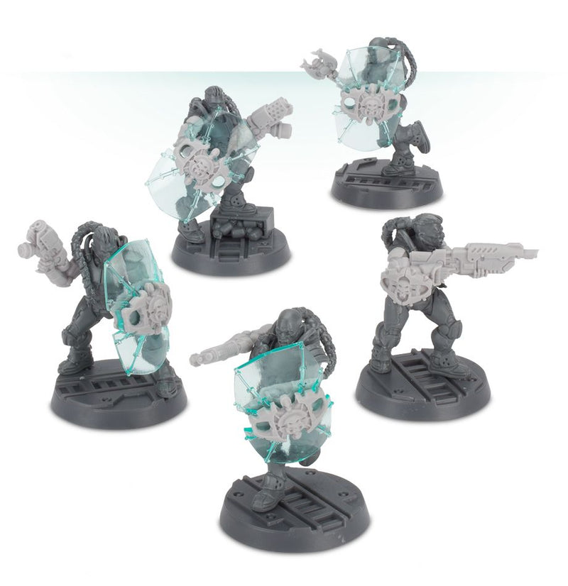 Van Saar Energy Shield Set