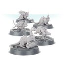 Cawdor Bomb Delivery Rats