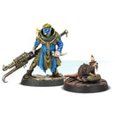 Cawdor Bomb Delivery Rats