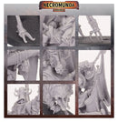 Ash Waste Nomads Wy'tari Stormcaller