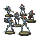 Neoterran Capitaline Army (OOP) - Infinity: PanOceania Sectorial Starter Pack