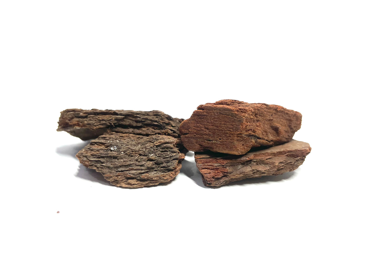 Rocas Estratificadas todas escalas . Tamaño mediano ( Frac. 2)