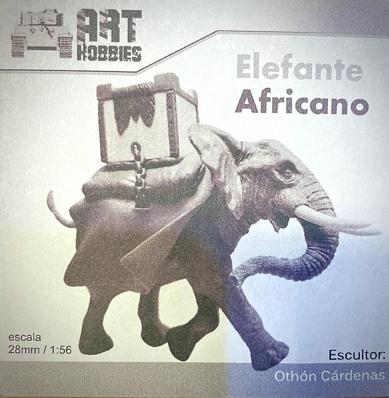 African Elephant 1/56