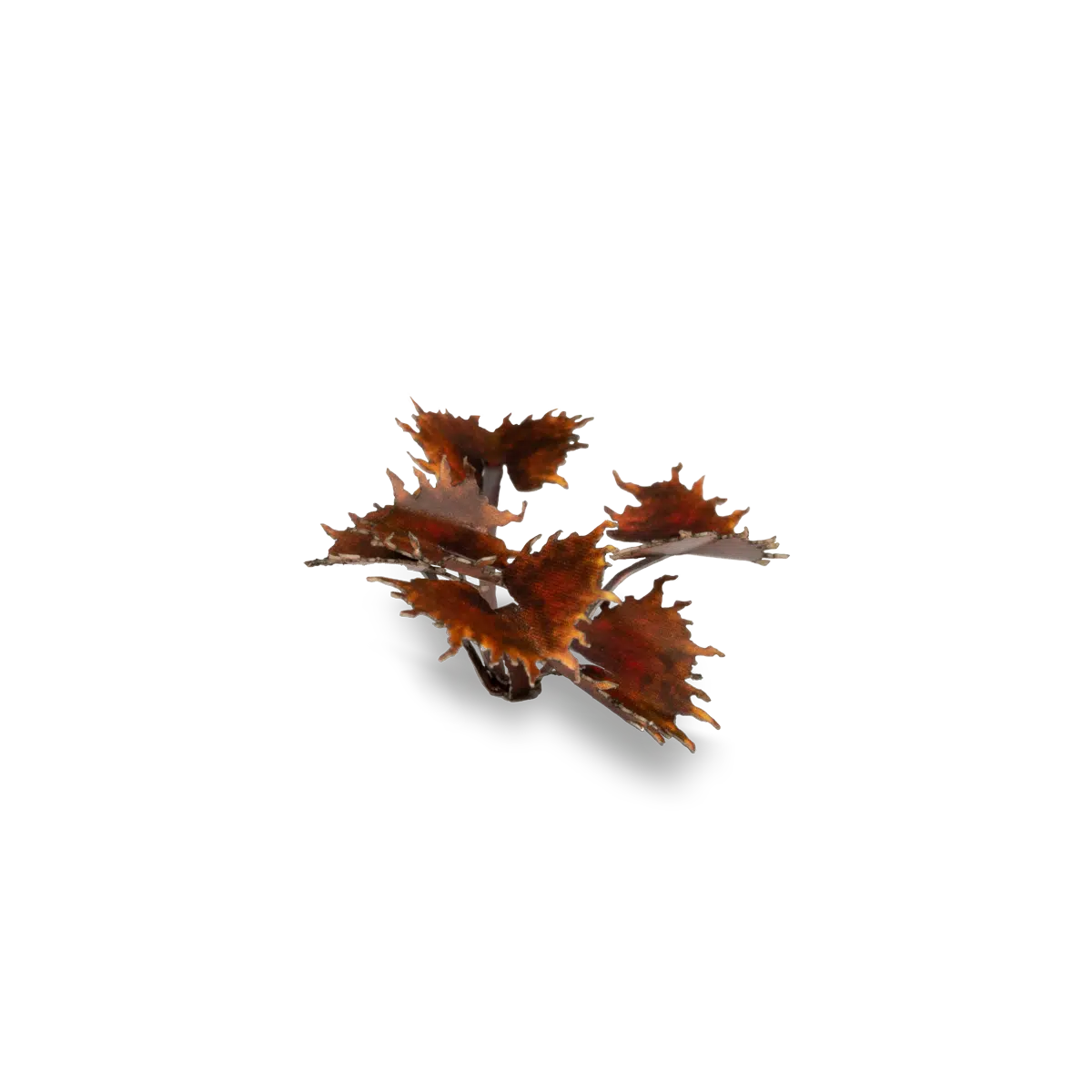 GamersGrass - Alien Flytrap