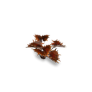 GamersGrass - Alien Flytrap