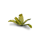 GamersGrass - Banana Tree