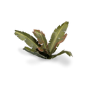 GamersGrass - Banana Tree