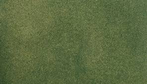 Woodland Scenics  green grass mat 50" x100"