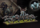 The Nords Starter Bundel set