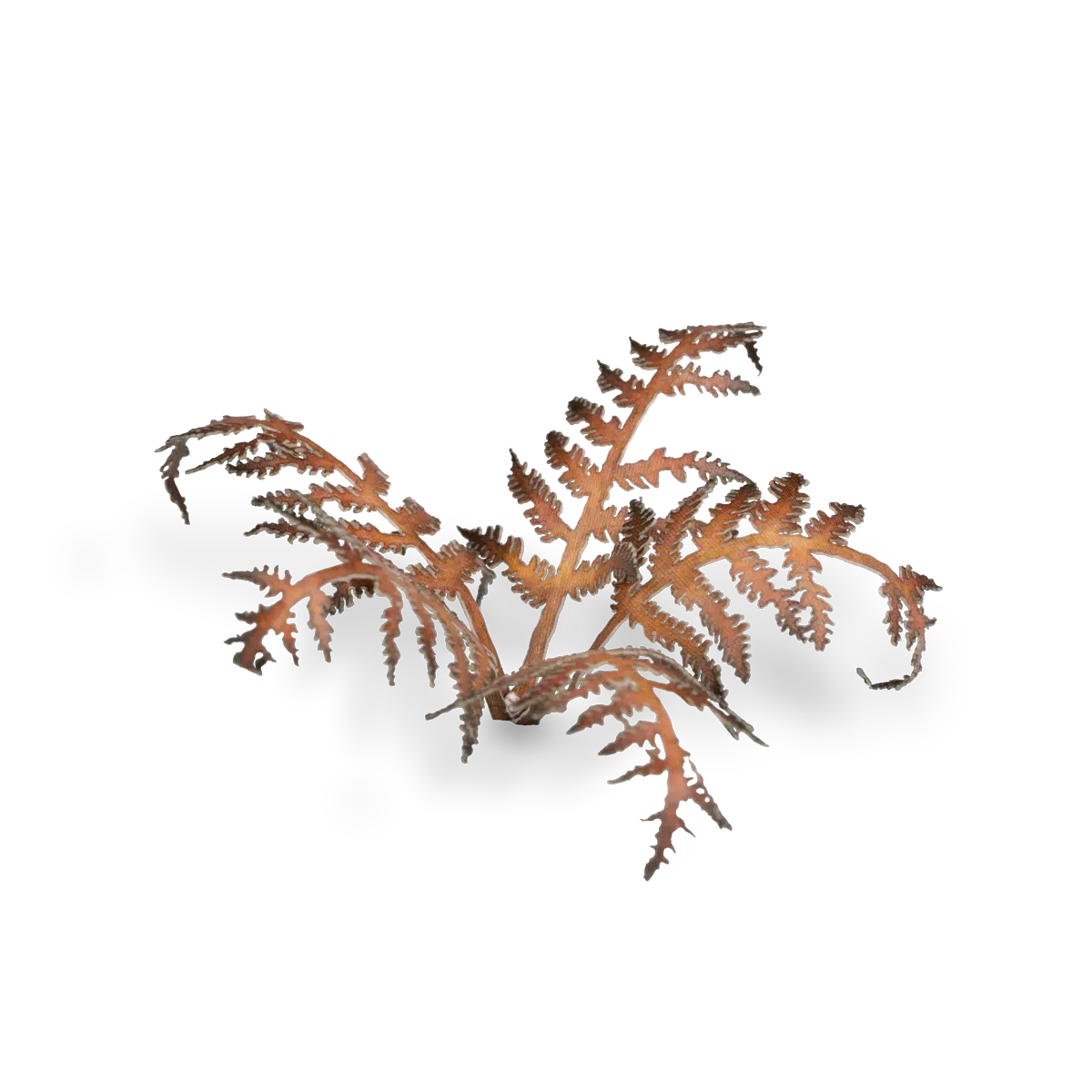 GamersGrass : GGLP-DB Laser Plants - Dry Bracken