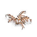 GamersGrass - Dry Bracken GGLP-DB