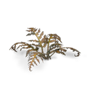 GamersGrass - Dry Bracken GGLP-DB