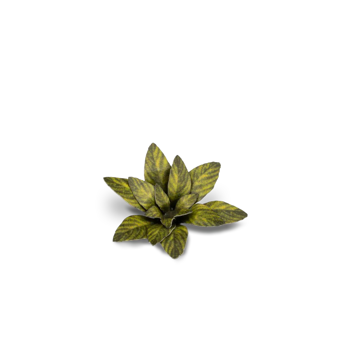 GamersGrass - Dumb Cane GGLP-DC