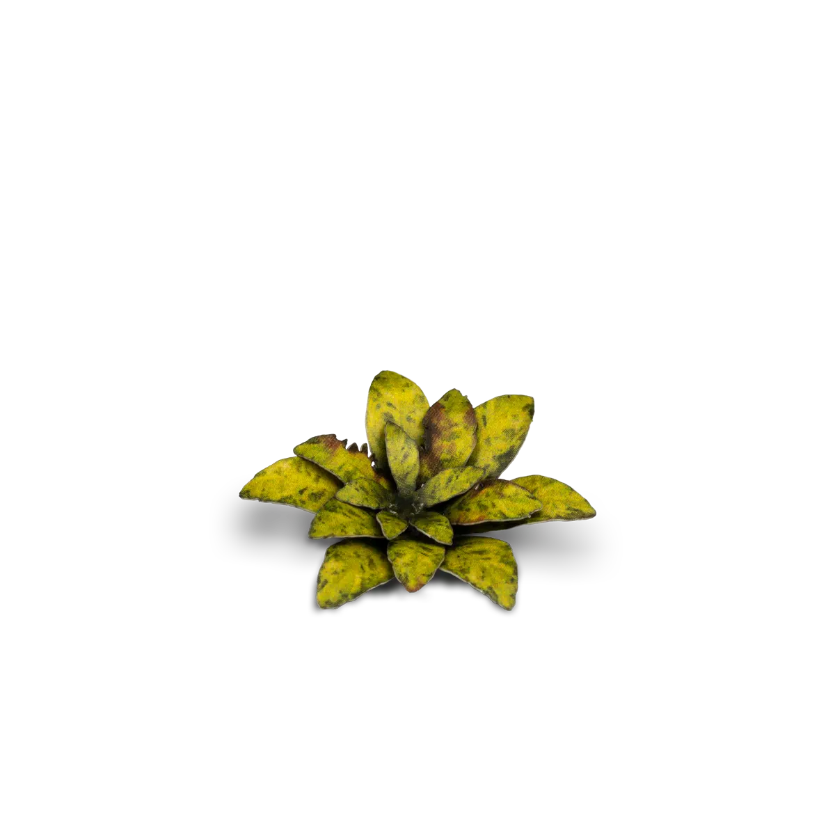 GamersGrass - Dumb Cane GGLP-DC