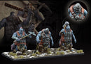 The Nords Starter Bundel set