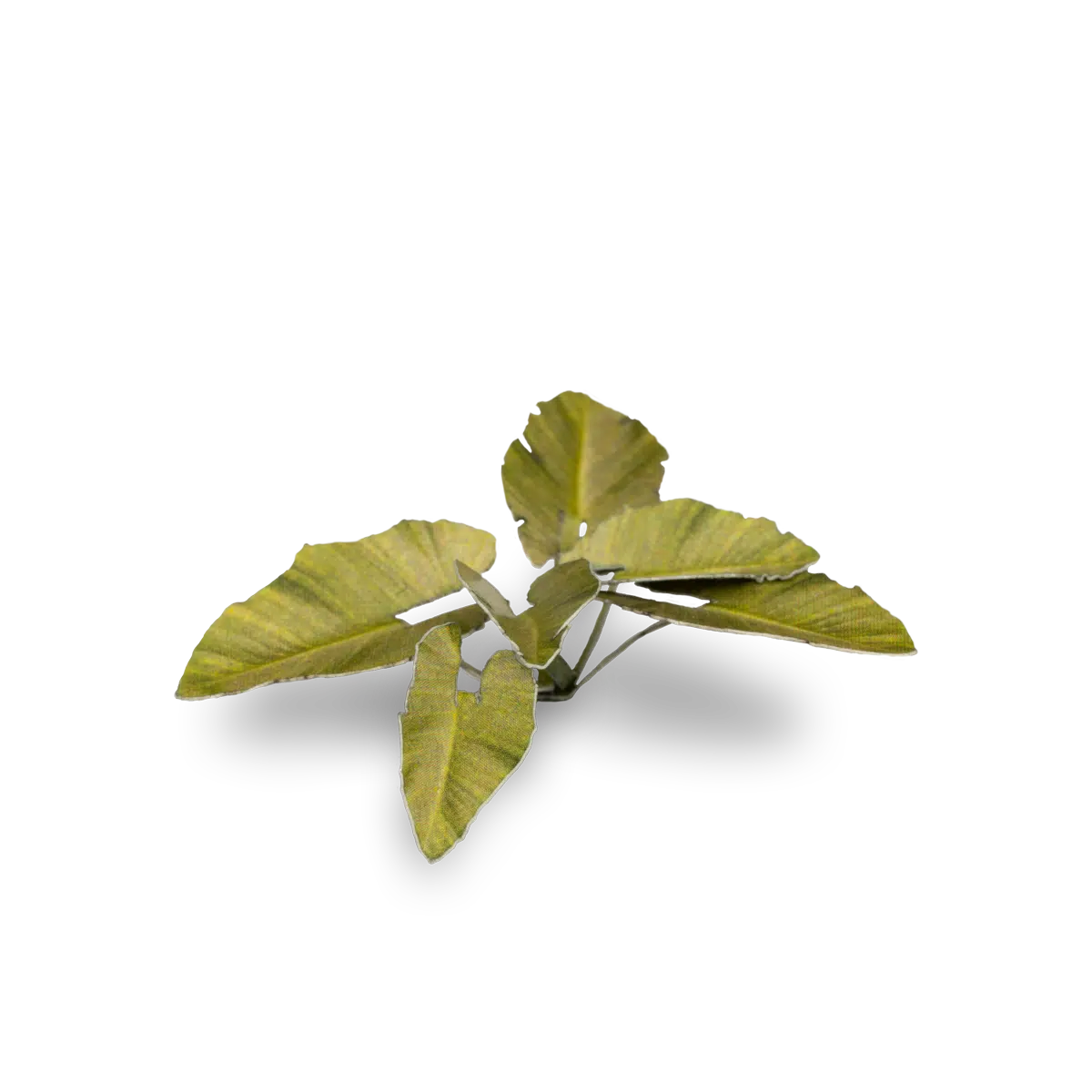 GamersGrass: GGLP-EE Laser Plants - Elephant Ear