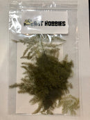 Hojas de conífera preservadas