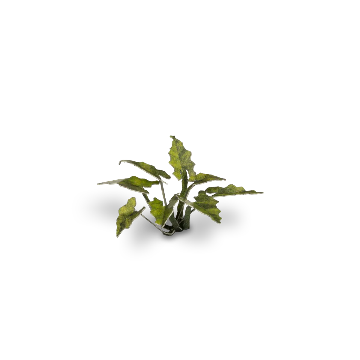 GamersGrass - Lords-and-Ladies