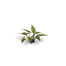 GamersGrass - Lords-and-Ladies