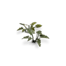 GamersGrass - Lords-and-Ladies