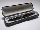 H&S EVOLUTION PLUMA NEGRA