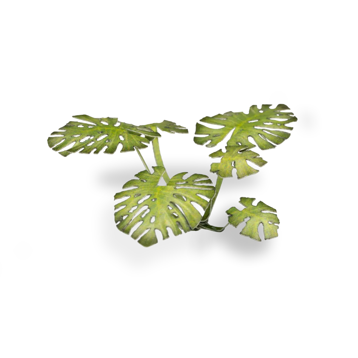 GamersGrass: GGLP-MT Laser Plants - Monstera