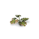 GamersGrass- Monstera