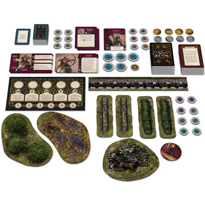 Targaryen Starter Set